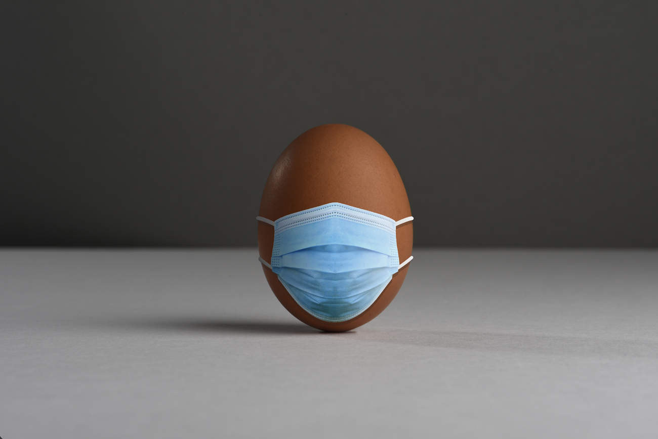 brown egg wearing a disposable mask image